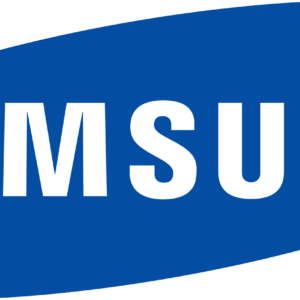 Charger Samsung