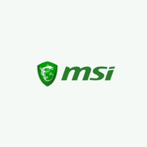 Charger MSI